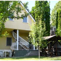 Apartments in Siofok - Balaton 43965
