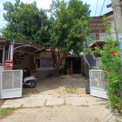 Pinxstayz Aster BSD