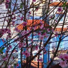 La Petite Maison de Chaouen