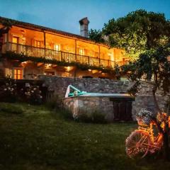Luxurious Chateau Asa in Sežana