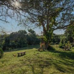 Stokkiesdraai Holiday Apartments