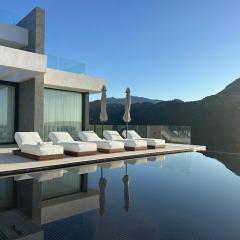 Villa with a private pool and spa