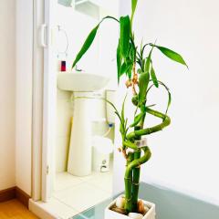 Best Habitaciones Tranquilas Embajada de Mexico