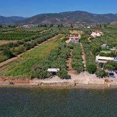 Villa of luxury and serenity