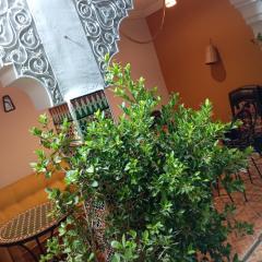 Riad Sun Medina Terrace