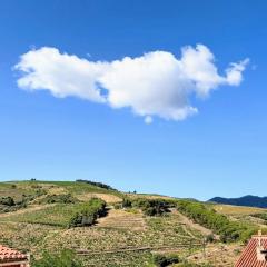 Villa spacieuse à Banyuls-sur-Mer, 6 personnes - FR-1-309-532