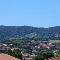 Banyuls-sur-Mer : appart. 6 pers. avec grande terrasse et garage - FR-1-309-527