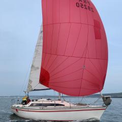 Voilier Rush Régate Capobar