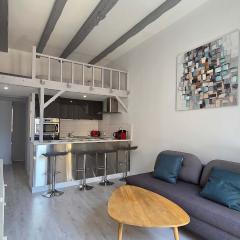 LX154 Loft rénové lumineux - plein centre Cannes