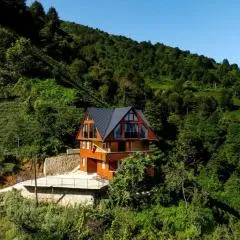 Villa Emir