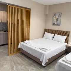 Gatos Village Luxurious Suites & Lofts