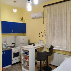 Centar Apartman Trivanović sa jednom sobom