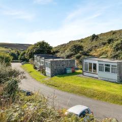 Nolton Haven - Giddy Puffin