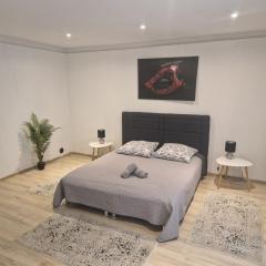 Apartament Baza