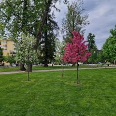 Moderni huoneisto keskustassa