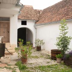 dasFritsch-Historisches Weinbauernhaus im Grünen