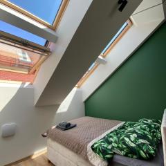 Luxury Old Town River Apartment