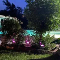 Gîte La Pequelette