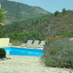 Vacation home with pool