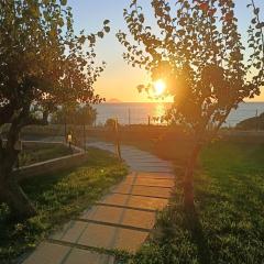 Capo Summer 2 0 Capo Vaticano