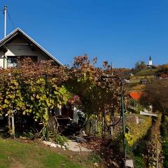 Studio in Novo mesto - dostava - Kranjska Krain 26035