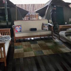 The Tree Top Village Urban Glamping