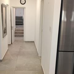 הבית של רביבו