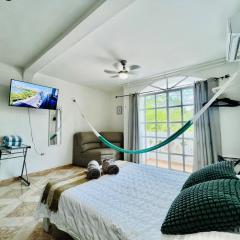 Centrally located and comfortable room Ficus