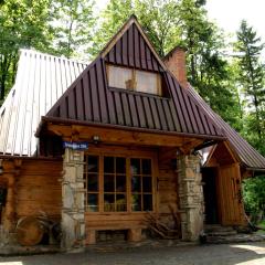 Domek Drewniany Tetmajera Centrum Zakopane