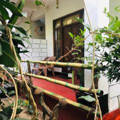 N S K Green Villa
