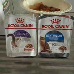 וילה גפן בעומר