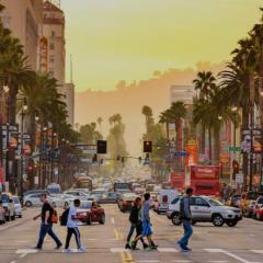 Hollywood Lofts Apt Haven at Arrive with FREE PARKING