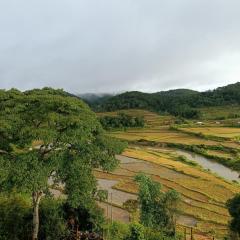 Măng Đen Farm Stay A Vũ