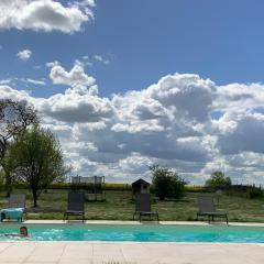 Piscine chauffée Villa mouettes de Loire