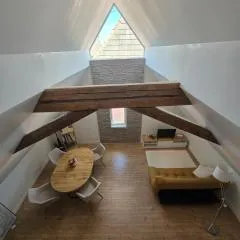 Duplex sous les toits d'Alsace