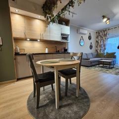 Oliwkowy - stylowy Apartament w naturalnym klimacie
