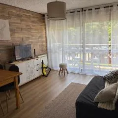 Studio de 32 m2 pour 3 personnes pied des pistes