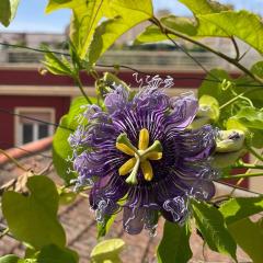 Freedom House - Loft in pieno centro