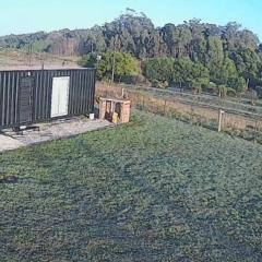 Sueño Dorado Container