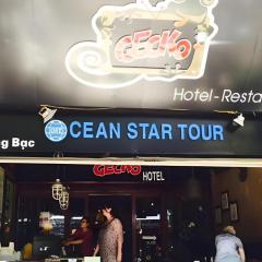 Gecko Hotel