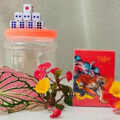 20p Ipoh, Semi D, shared pool