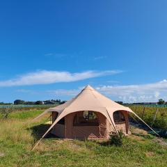 Yurt-tent