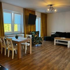 Apartament Sasankowa