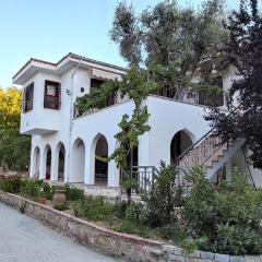 Kuşadası'nda Özel Havuzlu Kiralık Büyük Villa