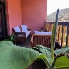 Luminoso y Elegante, piscinas y pistas de pádel
