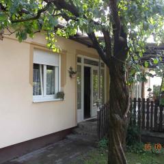Apartment in Balatonboglar - Balaton 18183