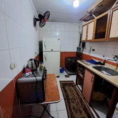 night holiday