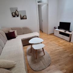 City Delight Apartment
