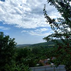 Sulut Guest House