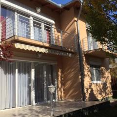 Apartments in Siofok - Balaton 43407